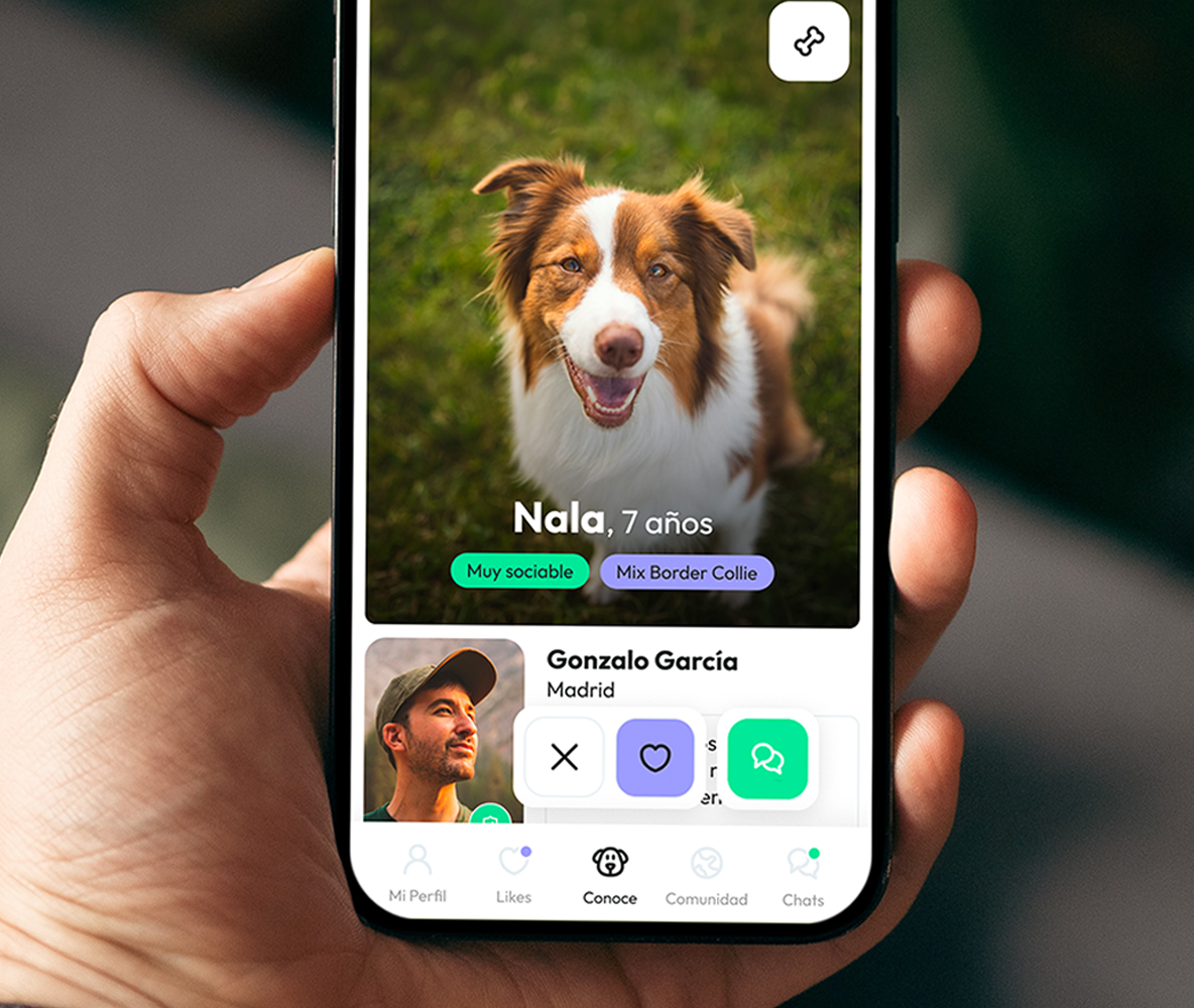 Buddies perfil perro