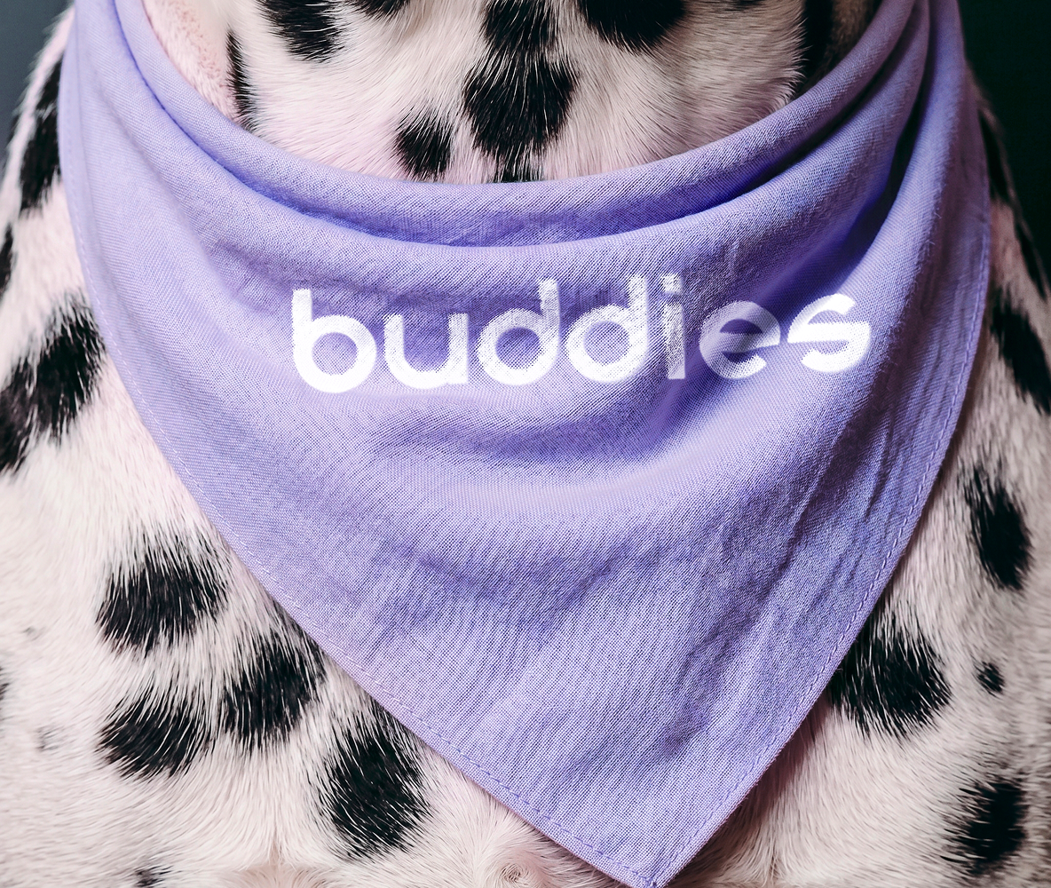 Buddies bandana dálmata