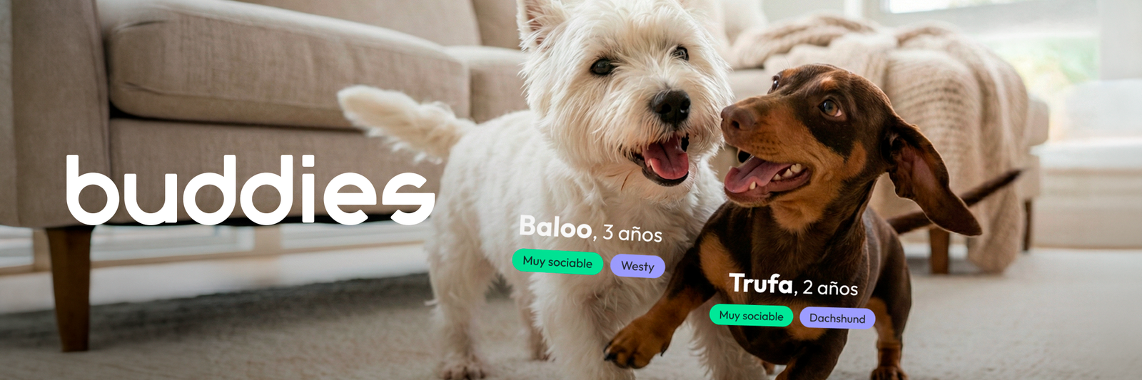 Buddies
